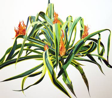 Original Figurative Botanic Painting by Eloisa Ballivian