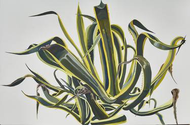 Print of Botanic Paintings by Eloisa Ballivian