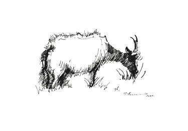 Print of Animal Drawings by Tatiana Alekseeva