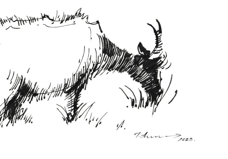 Original Animal Drawing by Tatiana Alekseeva