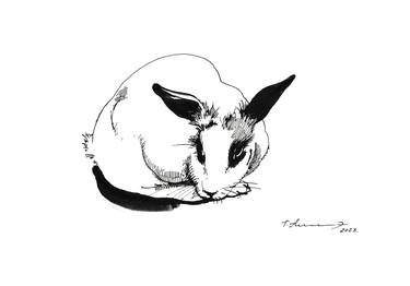 Rabbit. In thought. thumb