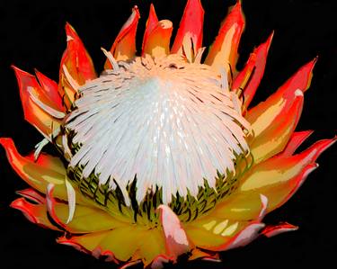 Print of Floral Photography by Gil Ferrer