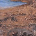 Collection MARINE SCAPES 