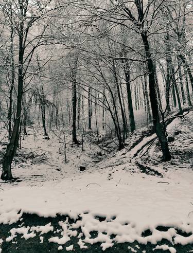 Print of Documentary Landscape Photography by LanaV Art