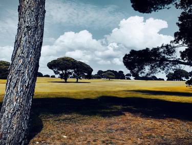 Print of Art Deco Landscape Photography by LanaV Art