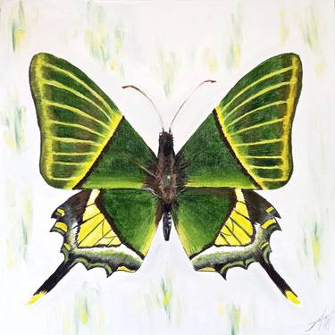 Green butterfly painting thumb