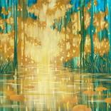 Collection Dusk to Dawn