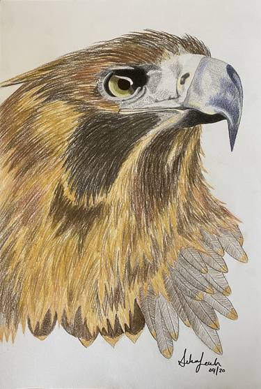 Eagle eye thumb