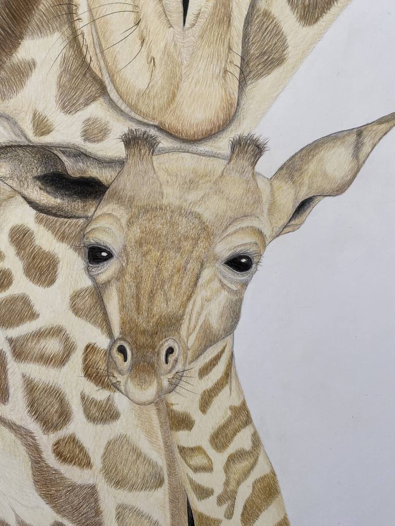 Original Fine Art Animal Drawing by Selma Leach