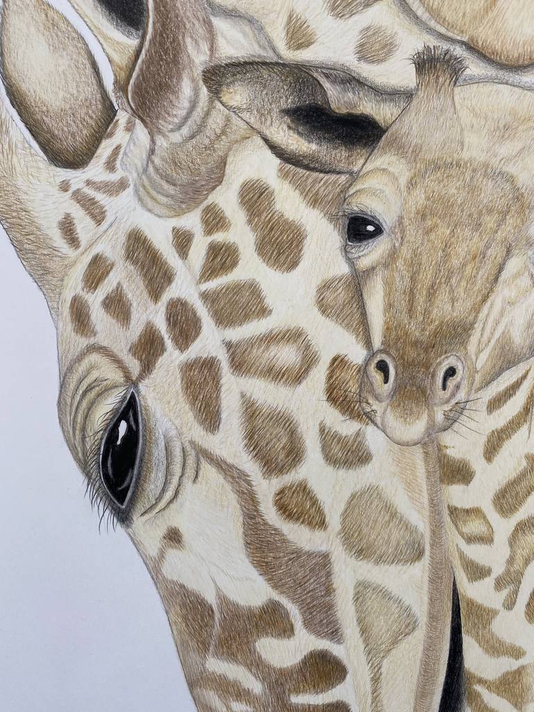 Original Fine Art Animal Drawing by Selma Leach