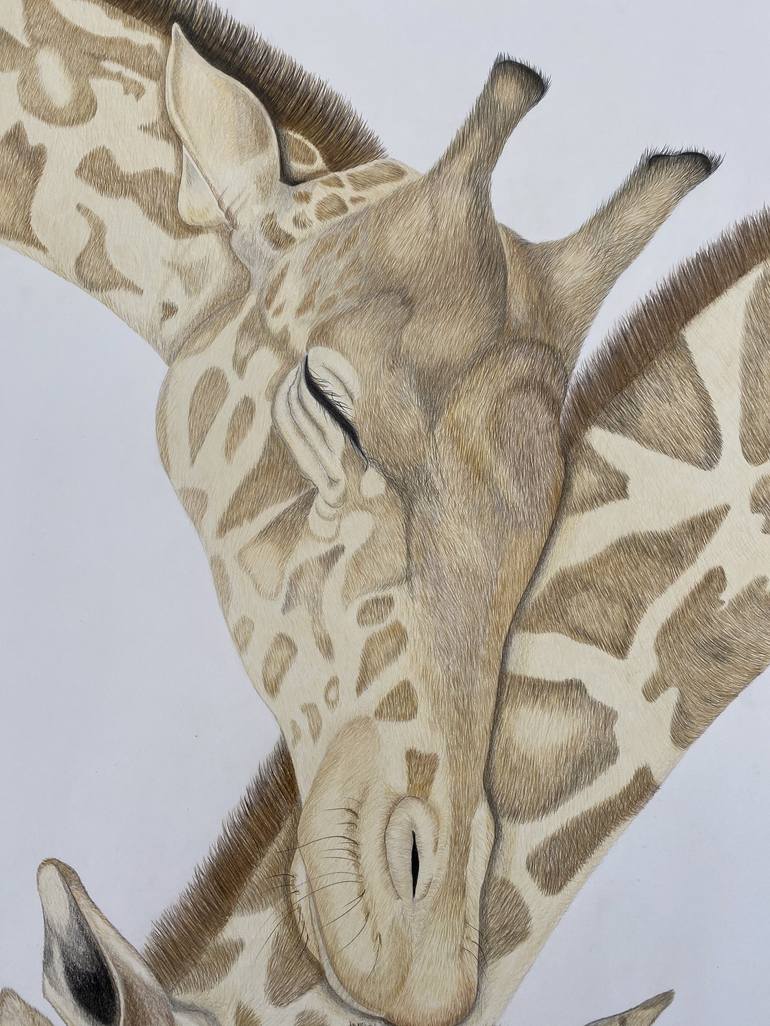 Original Fine Art Animal Drawing by Selma Leach