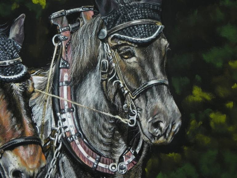 Original Realism Horse Drawing by Anna Pershneva