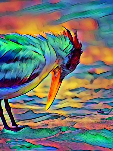 Where is my Worm? animal, vibrant, bird, colors, summer, decor thumb