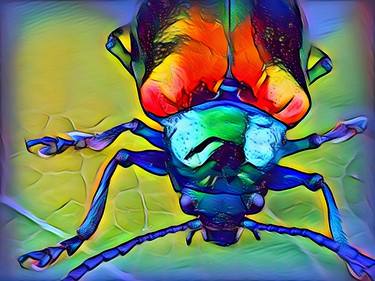 Beetle animal, vibrant, insect, colors, summer, decor thumb