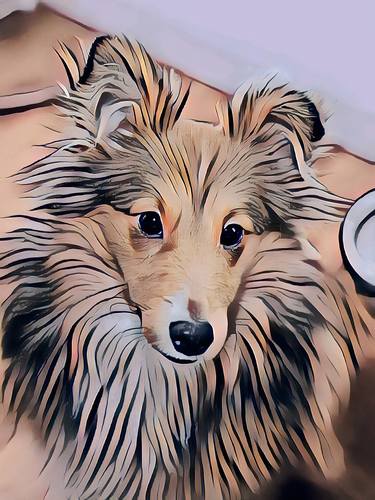 Lassie animal,  pastel, boho, dog, tribe, painting thumb