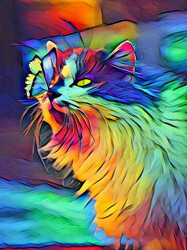 Tickle animal, vibrant, cat, colors, summer, decor, butterfly thumb