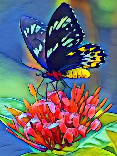 Dark Delicate animal, vibrant, butterfly, colors, summer, decor thumb