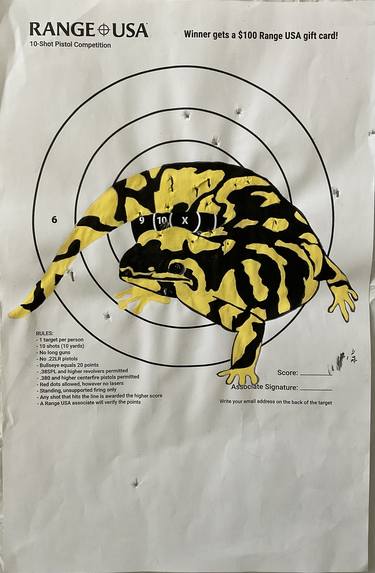 Painted Targets: Salamander #3 thumb