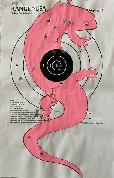 Painted Target: Salamander #4 thumb