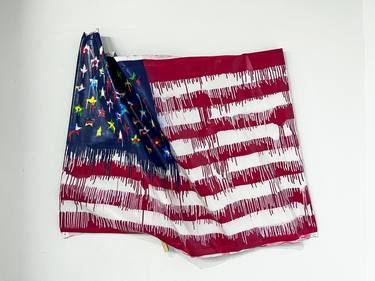 Terra Nullius: United States Flag #2 thumb