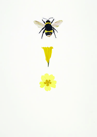 Bumblebee, Daffodil, Primrose thumb