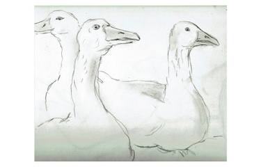 Print of Figurative Animal Drawings by Steve Weatherill