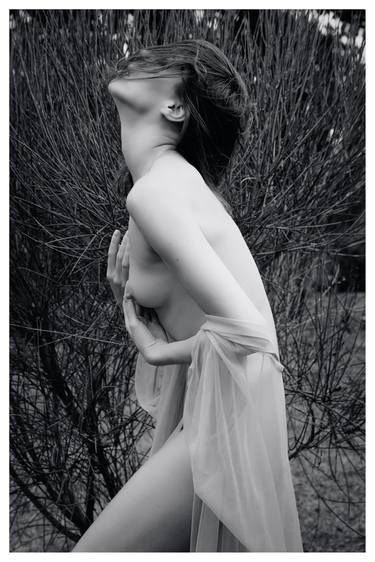 Original Nude Photography by Rachel Vogeleisen