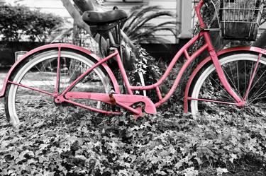 Garden Bike - Limited Edition of 5 thumb