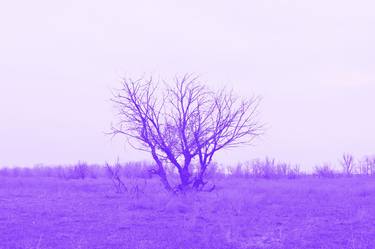 Saatchi Art Artist Elena Popkova; Photography, “Untitled (a purple bush) - Limited Edition of 50” #art