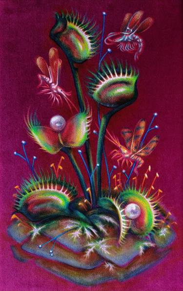 Original Surrealism Floral Paintings by Anna Shabalova
