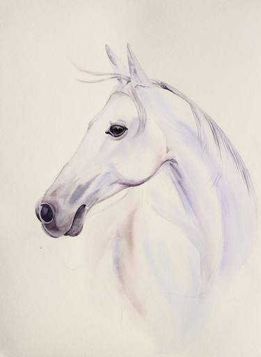 Print of Horse Paintings by Prashant Bhor