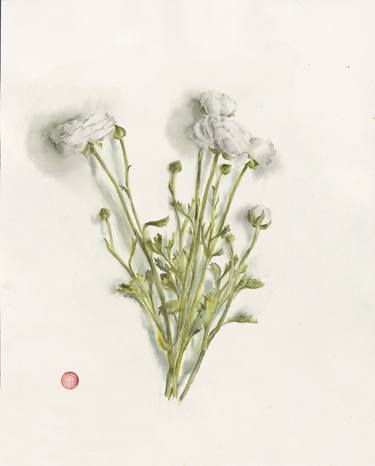 Original Illustration Floral Paintings by Katherine Smith
