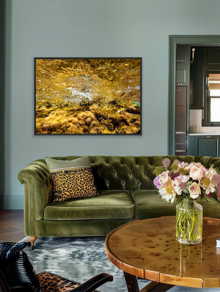 Original Contemporary Nature Photography by Beatriz Minguez