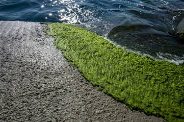 Print of Documentary Seascape Photography by beatriz minguez