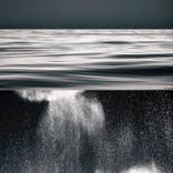 Collection March Favorites