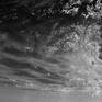water detail