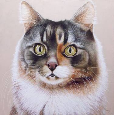 Original Figurative Cats Paintings by Anastasia Woron