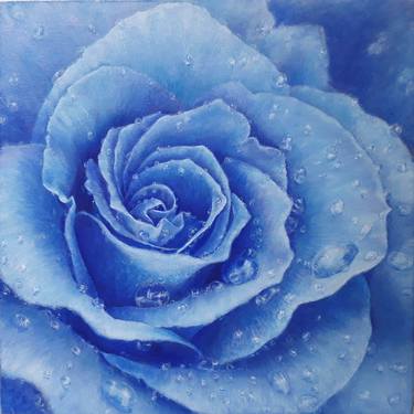 Blue Rose! thumb