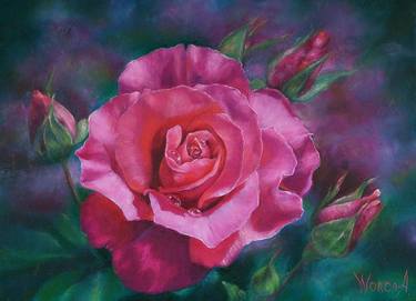 Pink rose thumb