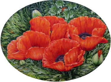 Poppies. thumb