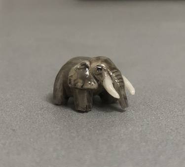 Micro elephant thumb