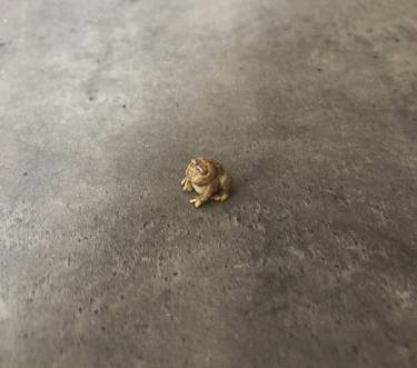 Micro frog thumb