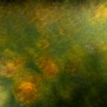 Collection Roscoe Lobby Approved