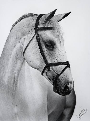 Original Photorealism Horse Drawings by Mariam Darchiashvili