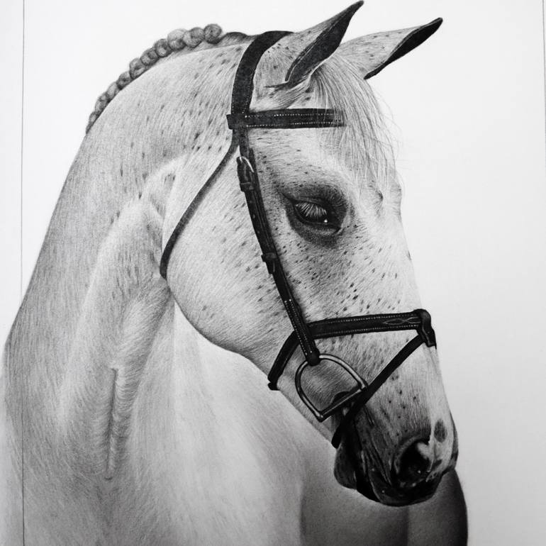 Original Figurative Horse Drawing by Mariam Darchiashvili