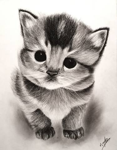 Print of Cats Drawings by Mariam Darchiashvili
