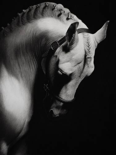 Print of Photorealism Horse Drawings by Mariam Darchiashvili