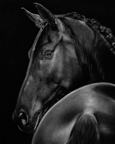 Print of Photorealism Horse Drawings by Mariam Darchiashvili