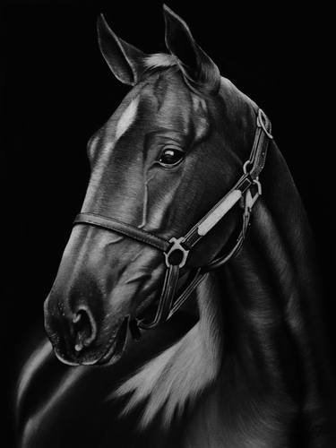 Print of Photorealism Horse Drawings by Mariam Darchiashvili