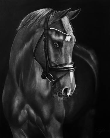 Print of Figurative Horse Drawings by Mariam Darchiashvili